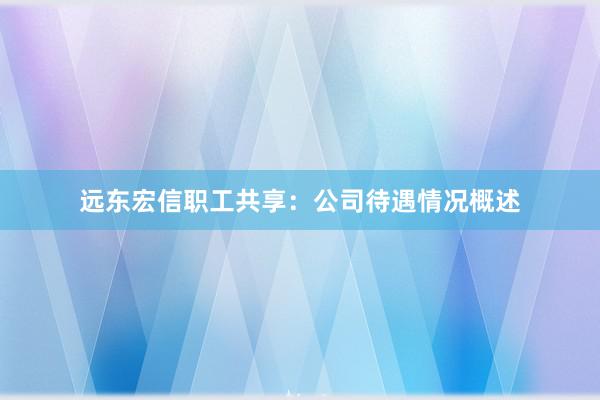 远东宏信职工共享：公司待遇情况概述
