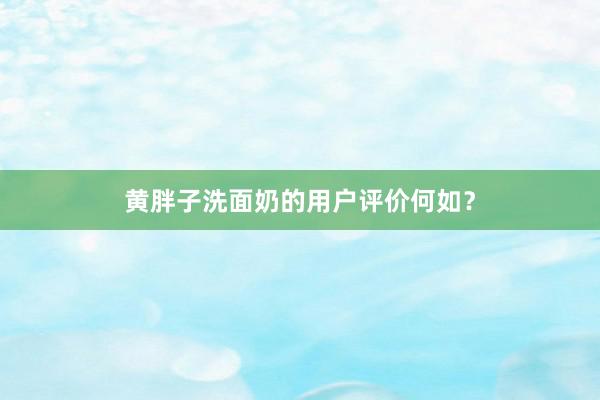 黄胖子洗面奶的用户评价何如？