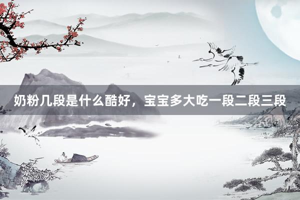 奶粉几段是什么酷好，宝宝多大吃一段二段三段